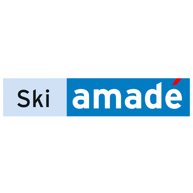 partner of ski amade